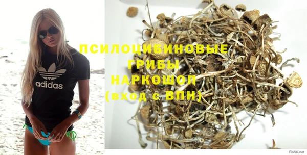 не бодяженный Нязепетровск
